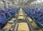 Xuất khẩu tôm giảm do giá USD tăng